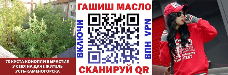 МЕГА онион  Петропавловск-Камчатский  darknet официальный сайт  ТГК вейп с тгк 